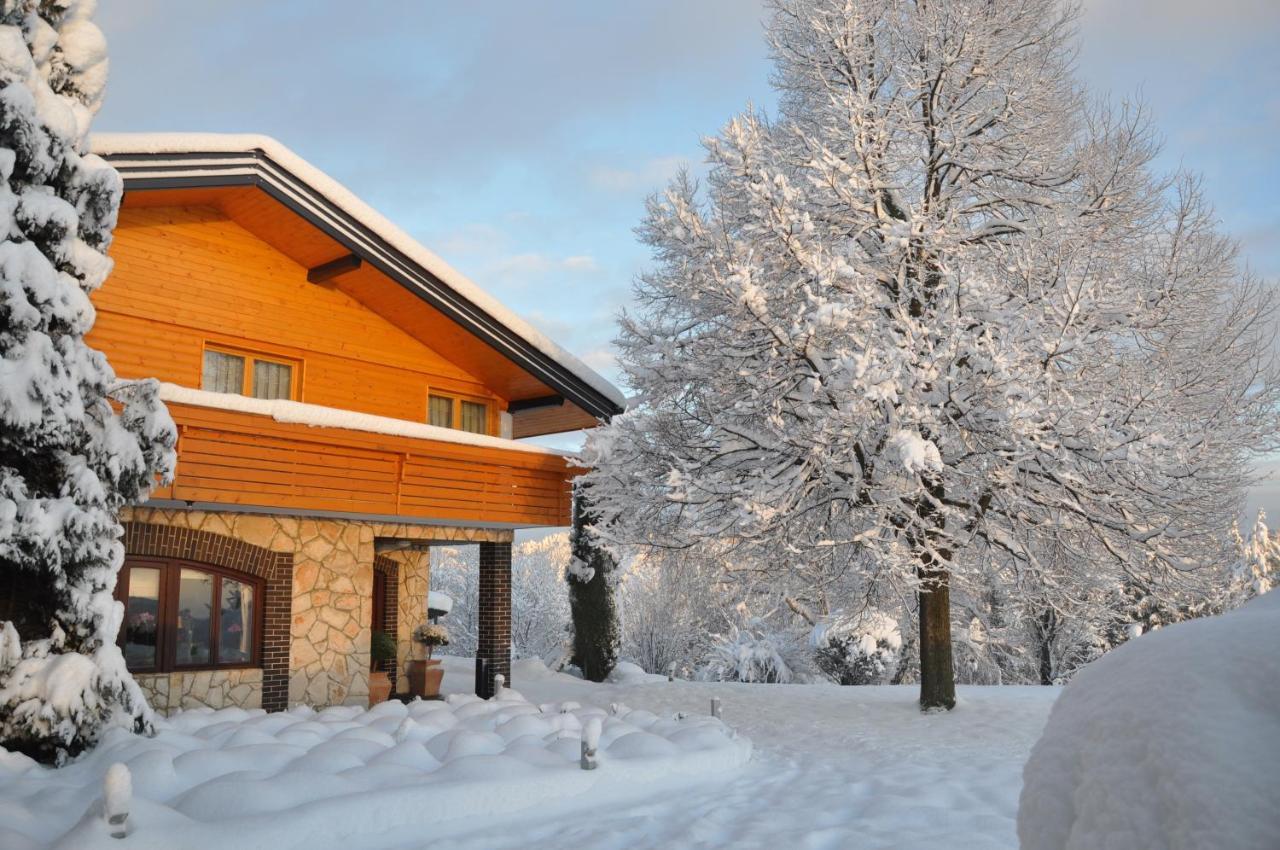 Guesthouse Dolinsek Sevnica Buitenkant foto