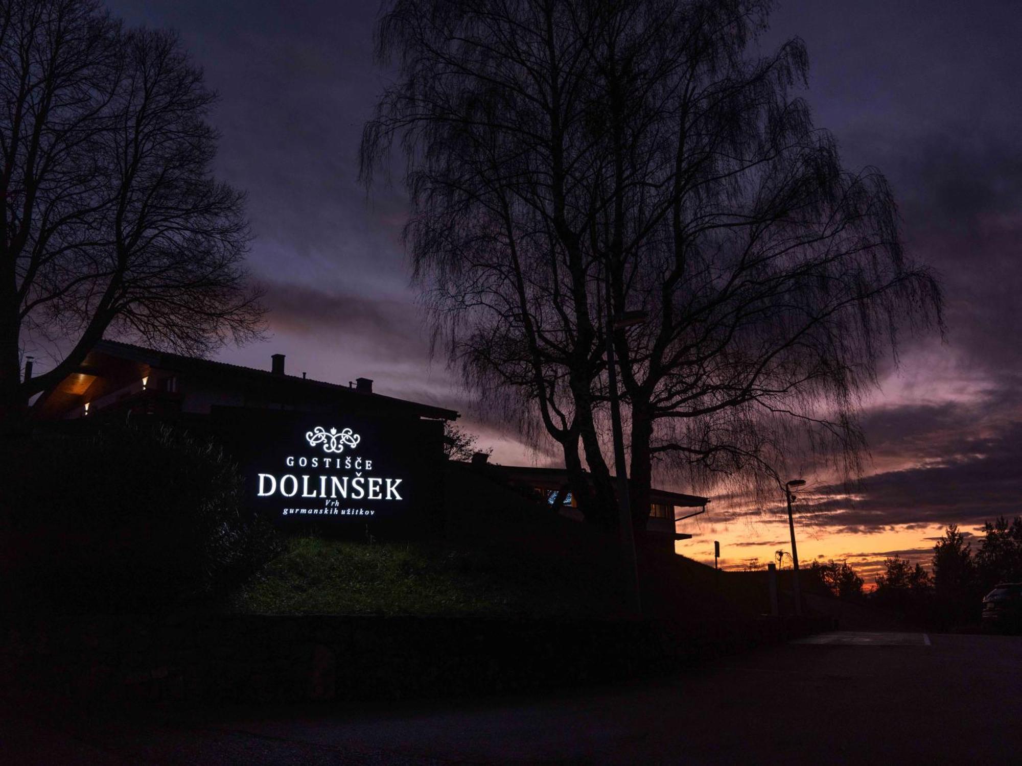 Guesthouse Dolinsek Sevnica Buitenkant foto
